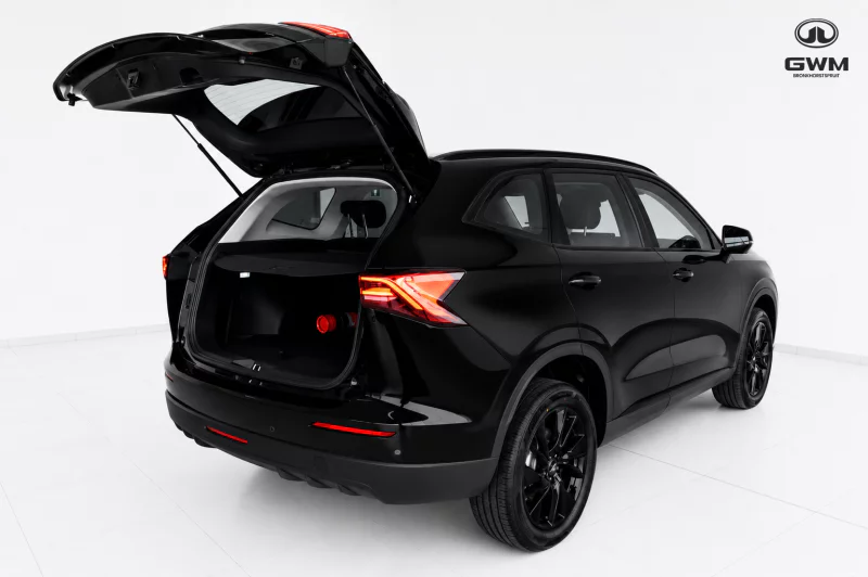 Vehicle Image for 8/24for Haval H6 2.0T Luxury DCT