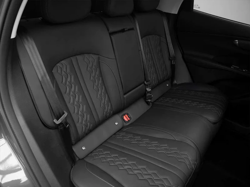 Vehicle Image for 23/24for Lepas L6 Pantera 1.5T DCT