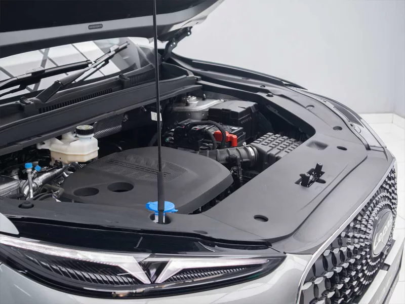 Vehicle Image for 11/25for Lepas L6 Javan1.5T DCT